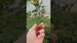 건강하게 행복하게 자신있게