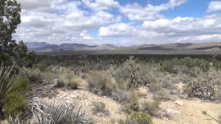 Mojave Preserve- Nothing but Here.