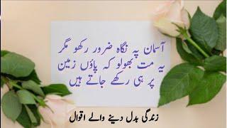 Life Changing Quotes | Anmol baten | Urdu Aqwal | Amir Voice