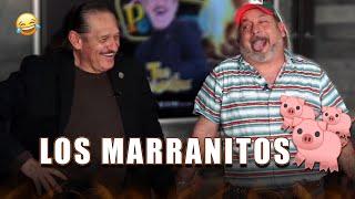 Chiste de los marranitos con Teo González  | Hernán El Potro