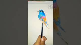 #crazy Lakshya art #kingfisher bird