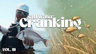 GUIA SALTWATER CRANKING en VERANO - PESCANDO en ZONAS de ALGAS | VOL. 3