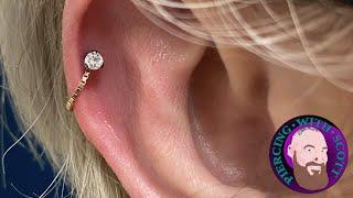 The Whole Truth - Helix Piercing