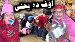 Aop Da Yahne || Pashto New Funny Video 2023 by Tuti Gull Vines