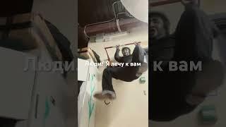 Новая Расса #смешные #космос #животные