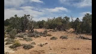 Arizona Off-Grid Community near Snowflake