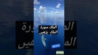 جو شخص اپنی حاجت پوری کرنا چاہے وہ یہ وظیفہ پڑھے