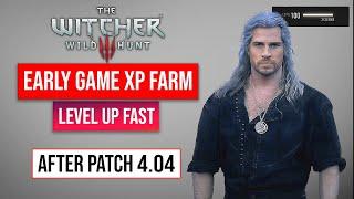 The Witcher 3 Level Up Fast | Early Game XP Farm After Patch 4.04 | 100K XP Per Minute!