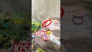 Kismat  ka pata #love #motivational #thegreatindiantaste #amritakash #comedy #gardening #digging