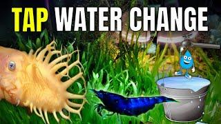 How To Do A Shrimp Tank Water Change With Tap Water