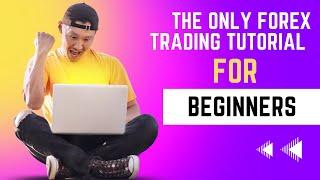 Full Comprehensive Forex Trading Tutorial For Beginners || Exness ||