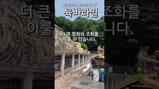육바라밀(六波羅蜜) 붓다모아 불교상식-17