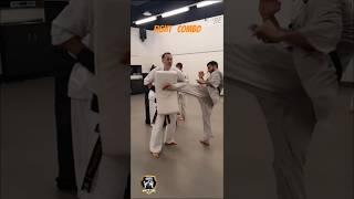 Unleash The Power of Kyokushin Karate