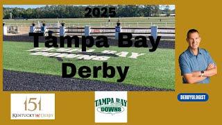 Tampa Bay Derby 2025 Preview Tampa Bay Downs