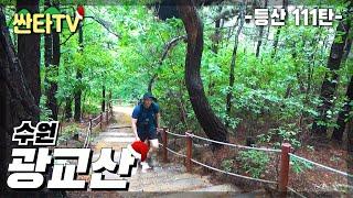 등산 광교산, 가벼운 여름 산행 추천 형제봉 코스 | 트레킹 | 장마특집 | 취미 | KOREA HIKING