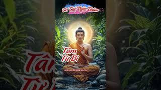 Tâm Từ Bi: Sức Mạnh Chữa Lành và Hạnh Phúc Đích Thực
