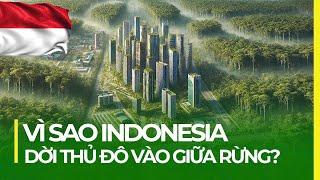 VÌ SAO INDONESIA DỜI THỦ ĐÔ VÀO GIỮA RỪNG RẬM?