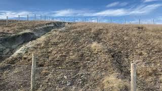 Gulley stabilisation using wool geotextile