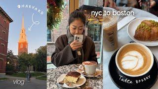 nyc to boston | harvard, tatte bakery, vintage shopping, lobster rolls, boston public library