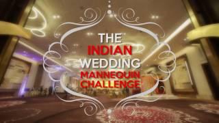 Mannequin Challenge At The Indian Wedding