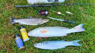 Brown TROUT, Redfish and Mullet Catch, Smoke and Eat!