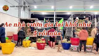 tại sao kho mua cao mà xô lùa lại thấp lý do chấp nhận được không