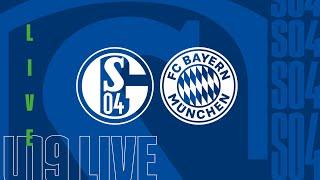 U19 RE-LIVE |  FC Schalke 04 - FC Bayern München