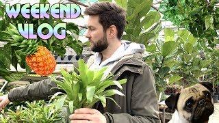 Weekend vlog with plants