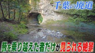 【千葉の廃道】壮絶な藪を越えた者だけが見られる絶景スポット