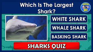 "SHARKS" QUIZ! | How Much Do You Know About "SHARKS"? | Animal Trivia