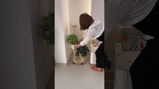 This round flower stand has a multi-layer design that is simple