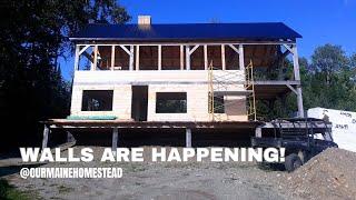 Wait... Is it Finally Starting to Look Like A House?! // Off Grid House Build