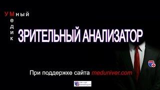 Зрительный анализатор - анатомия, физиология - meduniver.com