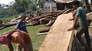 Largest Dangerous Tree Cutting Table Sawmill|| Large Sawmill In Action|| Operation in Sawmill