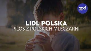 Pilos z polskich mleczarni - LIDL POLSKA - GPD Agency