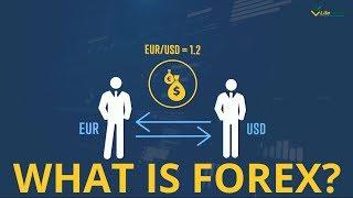 What is Forex trading? | Liteforex training