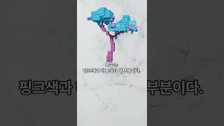 그로우 어 가든 캔디블라썸 7가지 tmi!