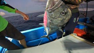 PESTA STRIKE BABON-BABON DIPAGI HARI️️ || BIARO SURGANYA MANCING.