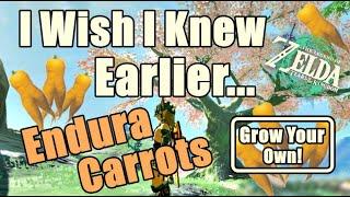 Endura Carrots Zelda Tears of The Kingdom