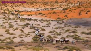 Touareg Music / Sahara desert Music