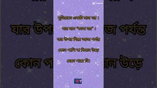 #asim #new  #sabscribe