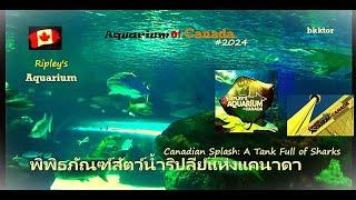 【EP 128】พิพิธภัณฑ์สัตว์น้ำริปลีย์ #แคนาดา #RipleyAquarium #Canada Vs #AquariaPhuket #Bangkok #bkktor