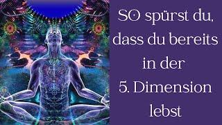 SO spürst du, dass du bereits in der 5. Dimension lebst!