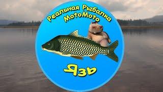 Как поймать Язя на Братском водохранилище [NEW] | Реальная Рыбалка