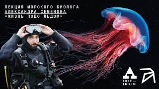 Александр Семенов: Жизнь подо льдом