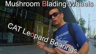 Verdict On Mushroom Blading Inline Wheels With CATS Bearings & Some Easy Speed