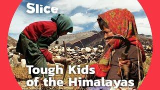 Young Shepherds of Zanskar: The Working Children of the Himalayas | SLICE