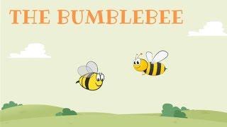 The Bumblebee | Short Story