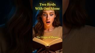 The Origin of Phrases: "Two Birds With One Stone" #facts #history #education
