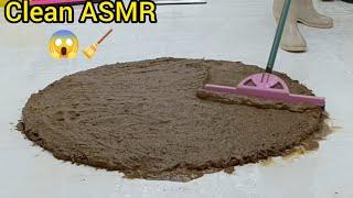 The Satisfying Science of Carpet Cleaning ASMR